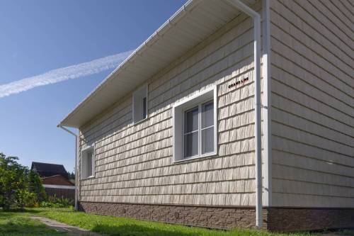 Сибирская дранка — фото-977_5