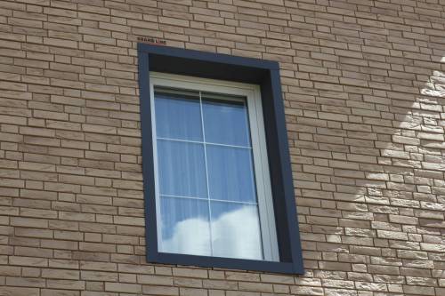 Демидовский Кирпич — фото-977_2