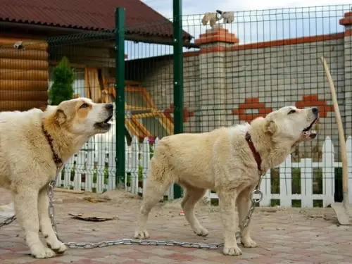 Панель Light — фото-1183_2
