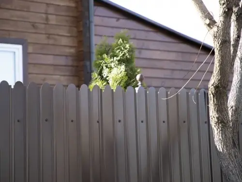 Профнастил C20 Фигурный — фото-1242_4