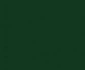 Водосточная система 125/100 мм — RAL 6005 — фото