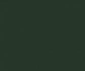 Снегозадержатель трубчатый универсальный Optima 1м — RAL 6020 — фото